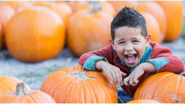 Best Pumpkin Patches Halloween 2018 America