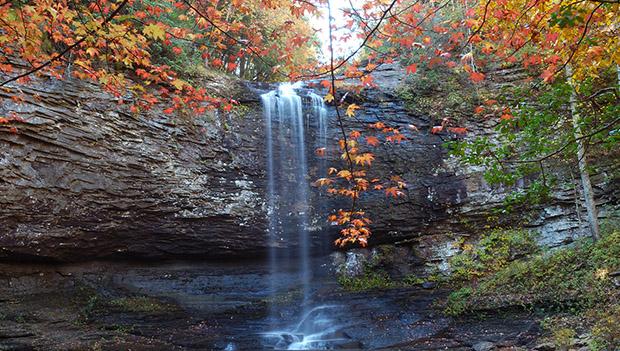 Cloudland Canyon