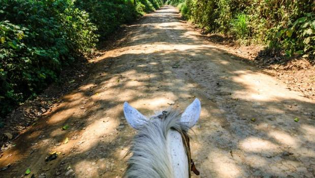 Horse Camping America