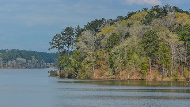 Lake Lincoln State Park