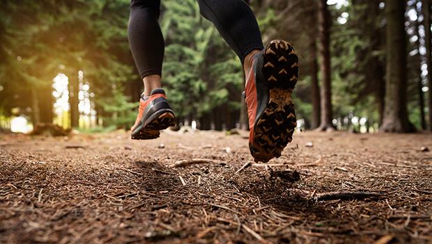 Test your gear on an easy day hike.