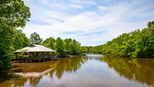 Lake Fausse Pointe State Park Louisiana