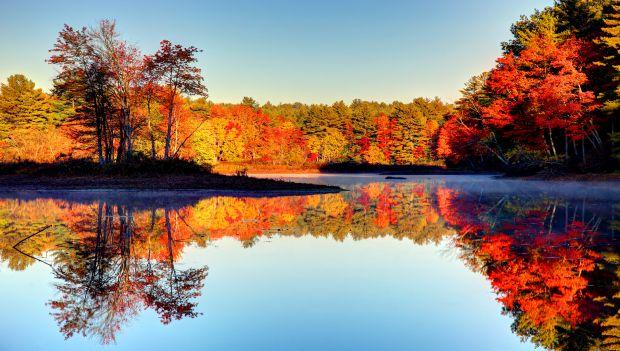 Pawtuckaway State Park New Hampshire