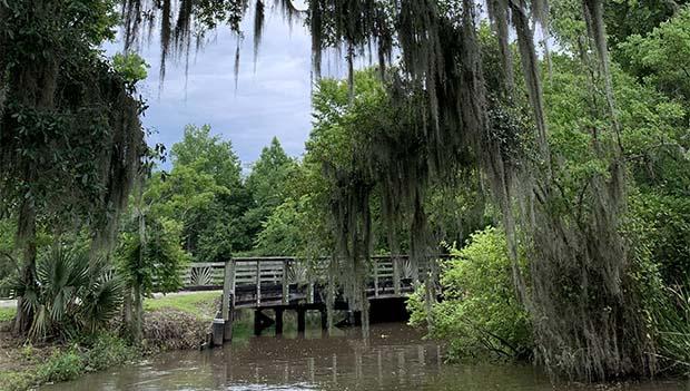 Palmetto Island State Park