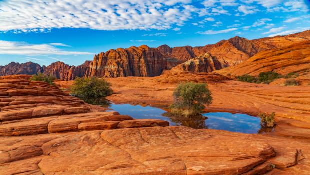 Snow Canyon State Park Utah