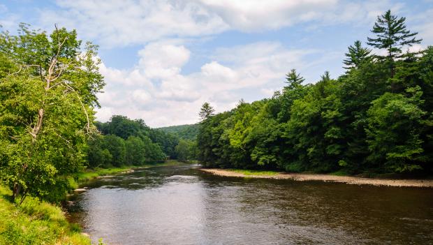 Cook Forest State Park Pennsylvania