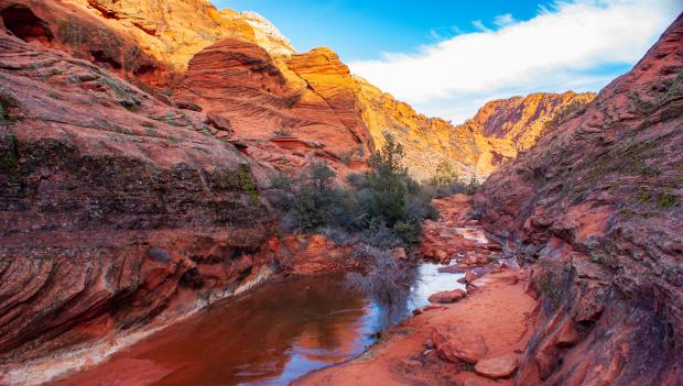 Snow Canyon State Park Utah