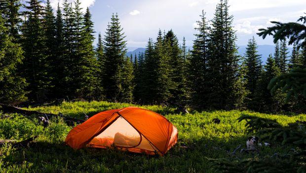 Mancos State Park Colorado