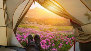 11 Spring Camping Gear Essentials