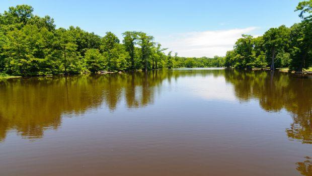 Leroy Percy State Park Mississippi