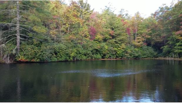 Gorges State Park