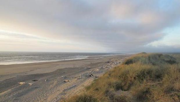 Bullards Beach State Park