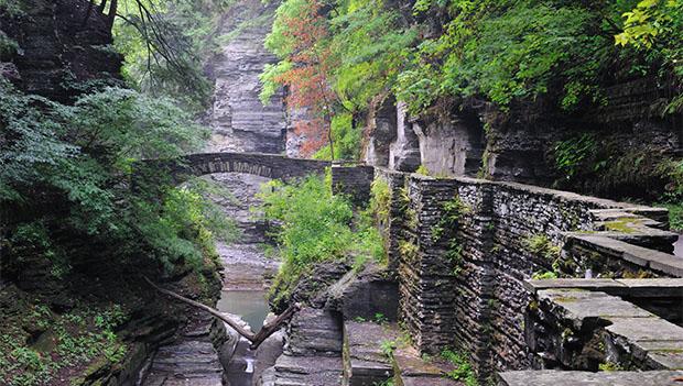 robert h treman state park