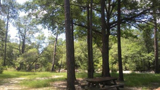 Juniper Creek Primitive Campsites