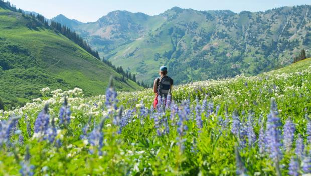 Best Wildflower Hikes USA West