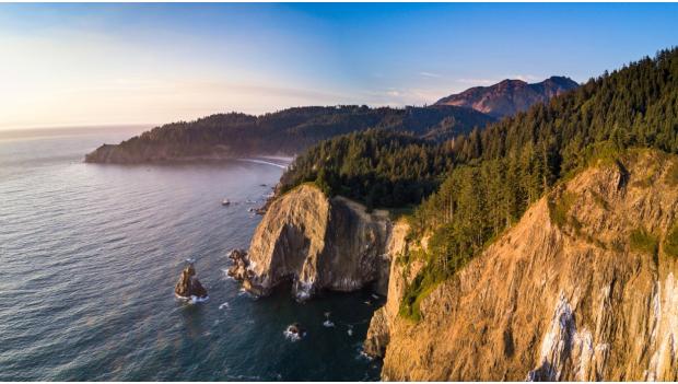 Birding Oregon Coast