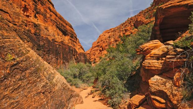 America desert camping