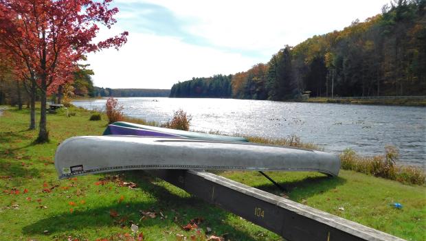 black moshannon state park