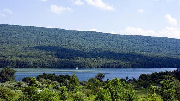 bald eagle state park