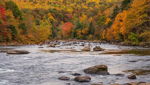 Ohiopyle State Park Pennsylvania