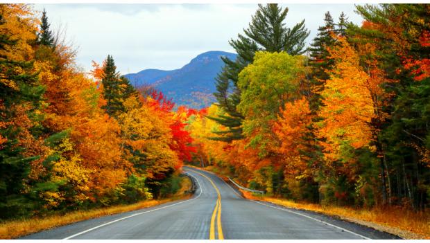 Asheville North Carolina Fall Leaves Camping Trip