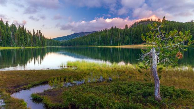 Mountain Biking in Bend, Oregon