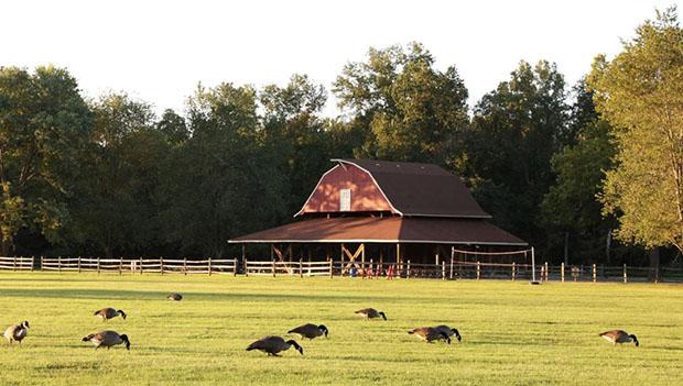 bull run regional park