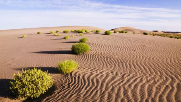 Bruneau Dunes State Park