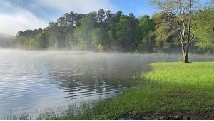 Visit Mississippi State Parks