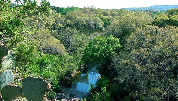 government canyon state natural area