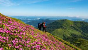 The East’s Best Hikes for Spring Wildflowers