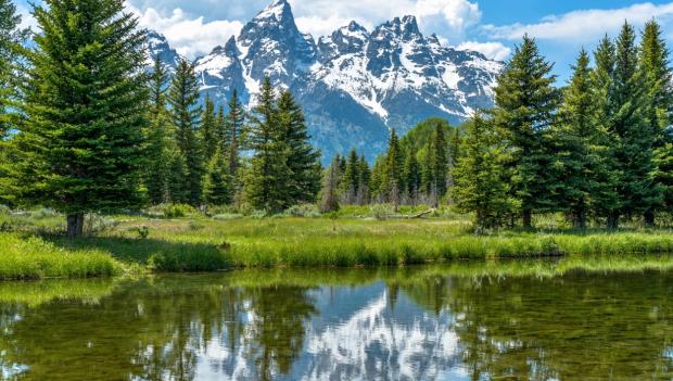 Pacific Northwest Spring Camping