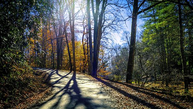 Colorful forests are a perfect backdrop for your fall camping trip.