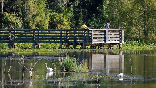 Brazos Bend State Park