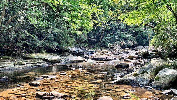 Ohiopyle State Park