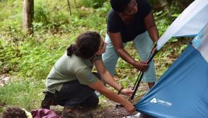 Give Back This Holiday Season at New York State Parks