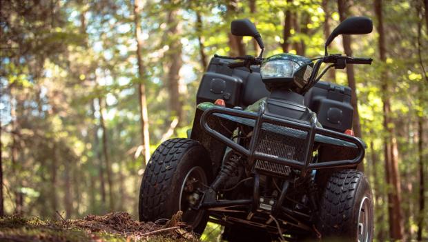 ATV Florida Forest