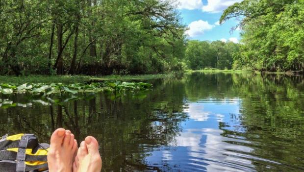 Florida forest spring camping