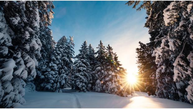 Minnesota Winter Hikes